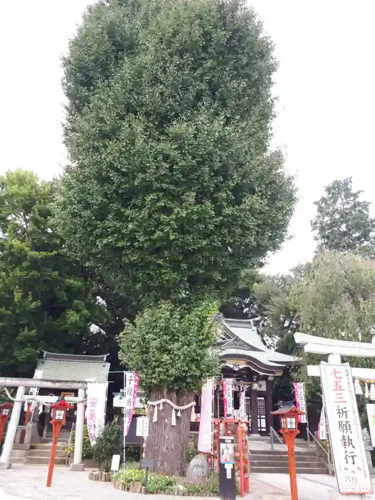 川越八幡宮の末社・摂社