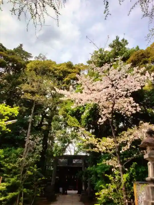 赤坂氷川神社(東京都)