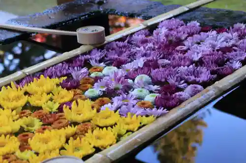 土津神社｜こどもと出世の神さまの手水