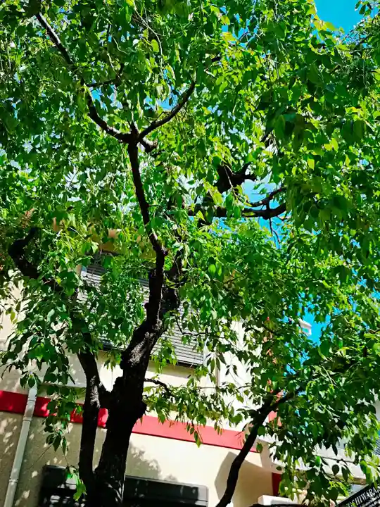 吉原神社(東京都)