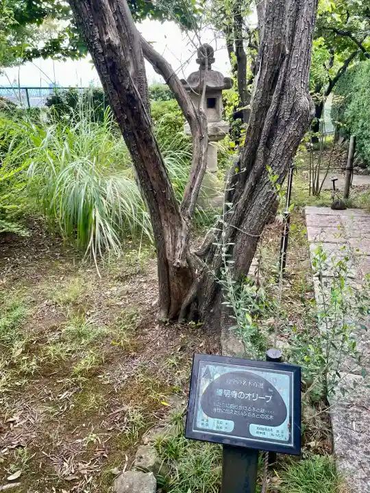 善明寺(東京都)