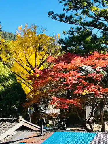 筑波山神社(茨城県)