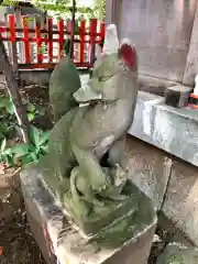 馬橋稲荷神社の狛犬