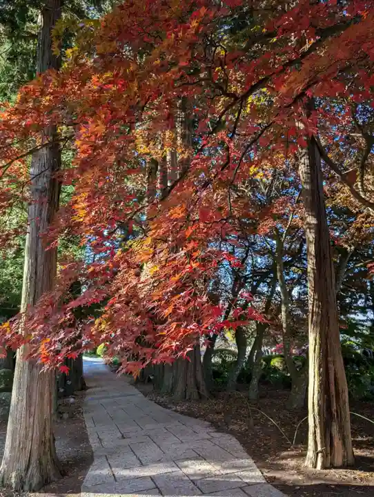 長圓寺(長野県)