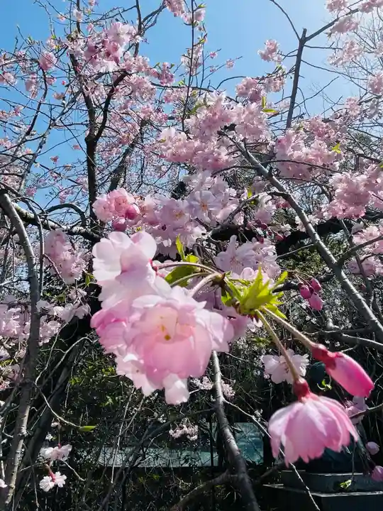 富知六所浅間神社(静岡県)