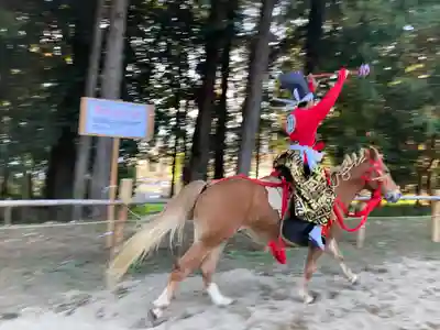 出雲伊波比神社(埼玉県)