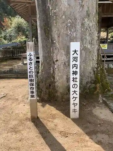 大河内神社の自然