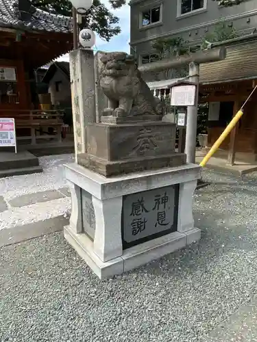 川越熊野神社の狛犬