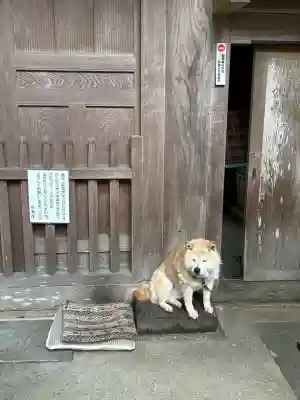 長谷寺の{uncategorized: "未分類", other: "その他", undefined: "問題あり", building: "その他建物", grave: "お墓", sacred_gate: "鳥居", guardian: "狛犬", statue: "像", buddha: "仏像", history: "歴史", nature: "自然", garden: "庭園", animal: "動物", pagoda: "塔", temizu: "手水舎", mountain_gate: "山門・神門", sanctuary: "本殿・本堂", subordinate: "末社・摂社", art: "芸術", scenery: "景色", jizo: "地蔵", ema: "絵馬", goshuin: "御朱印", omikuji: "おみくじ", items: "授与品その他", amulet: "お守り", goshuincho: "御朱印帳", eats: "食事", festival: "お祭り", votive_dance: "神楽", shichigosan: "七五三参", wedding: "結婚式", experience: "体験その他", initially: "初詣", around: "周辺", anti_infection: "感染症対策"}
