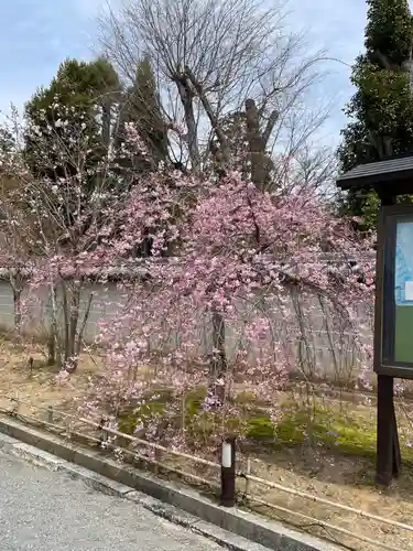 仁和寺(京都府)