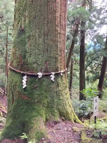 玉置神社(奈良県)