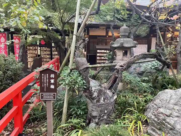愛宕神社の庭園