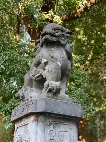 阿佐ヶ谷神明宮の狛犬