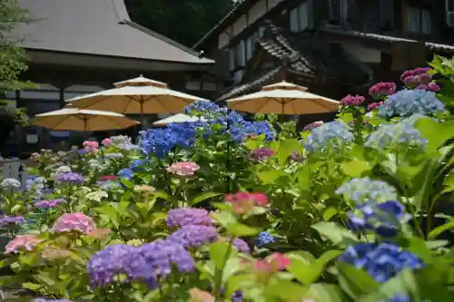 光照寺(新潟県)