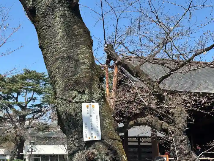 靖國神社の{uncategorized: "未分類", other: "その他", undefined: "問題あり", building: "その他建物", grave: "お墓", sacred_gate: "鳥居", guardian: "狛犬", statue: "像", buddha: "仏像", history: "歴史", nature: "自然", garden: "庭園", animal: "動物", pagoda: "塔", temizu: "手水舎", mountain_gate: "山門・神門", sanctuary: "本殿・本堂", subordinate: "末社・摂社", art: "芸術", scenery: "景色", jizo: "地蔵", ema: "絵馬", goshuin: "御朱印", omikuji: "おみくじ", items: "授与品その他", amulet: "お守り", goshuincho: "御朱印帳", eats: "食事", festival: "お祭り", votive_dance: "神楽", shichigosan: "七五三参", wedding: "結婚式", experience: "体験その他", initially: "初詣", around: "周辺", anti_infection: "感染症対策"}