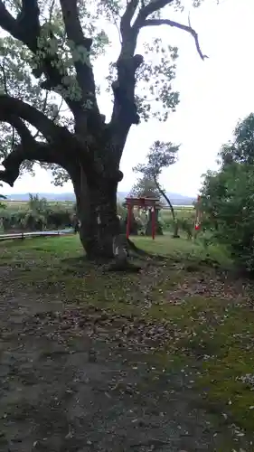 犬丸天満宮の自然