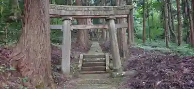 犬の宮猫の宮(山形県)