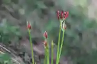 国宝 大法寺(長野県)