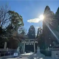 針名神社の鳥居