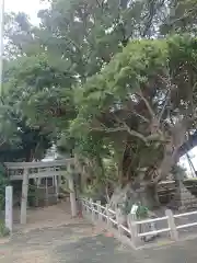 三島神社(愛知県)