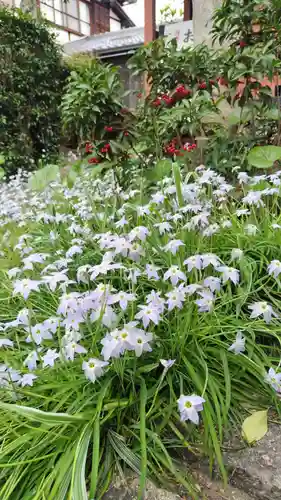 祐正寺(京都府)