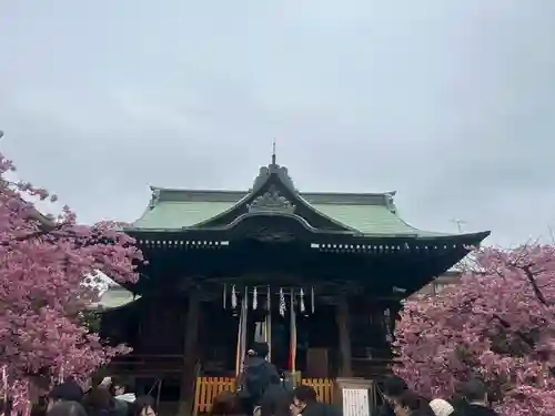 桜神宮(東京都)