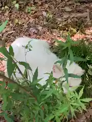 唐澤山神社の動物