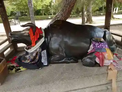 北野天満宮の狛犬