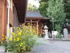 日枝神社の建物その他