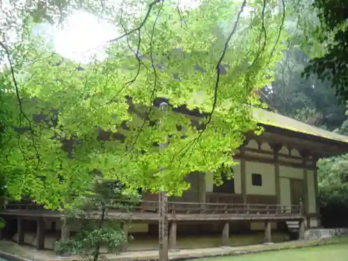 百済寺の本殿・本堂