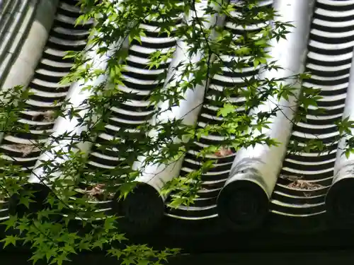 光明寺（粟生光明寺）のその他建物