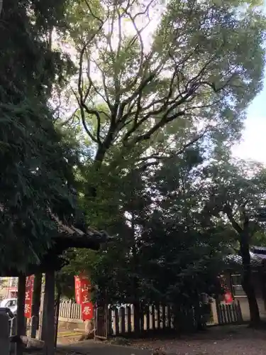 日吉神社のその他建物