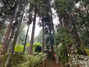 大宮温泉神社(栃木県)(2023年04月19日(水) 08時11分41秒投稿)