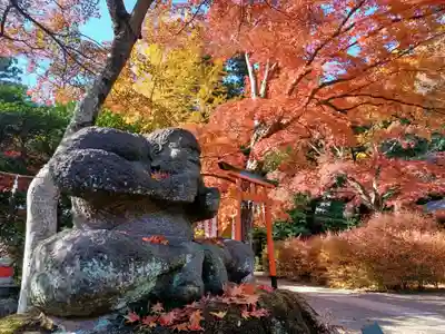 多聞院(埼玉県)