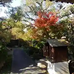 顕孝庵の山門