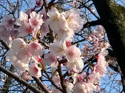 靖國神社(東京都)