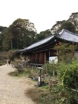 浄瑠璃寺の本殿・本堂