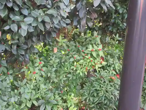 城山富士浅間神社(静岡県)