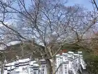 旗上弁財天社の自然