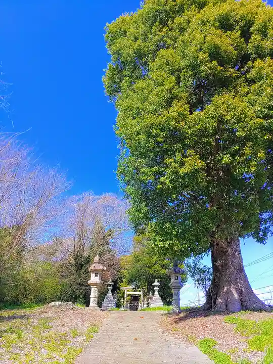 山神社(小判山)のその他建物