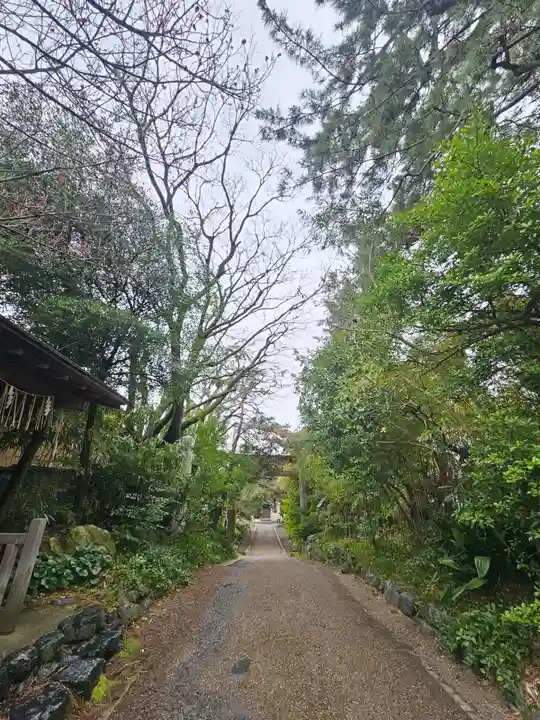 新潟大神宮(新潟県)