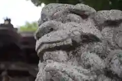 須賀神社の狛犬