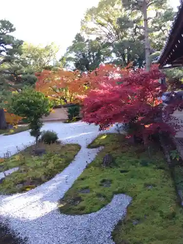 廬山寺（廬山天台講寺）(京都府)
