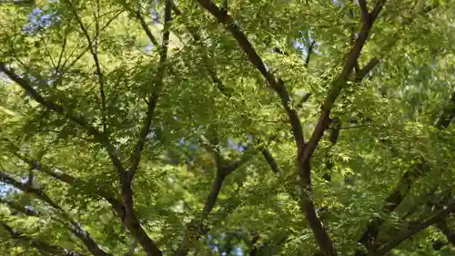 湊川神社(兵庫県)