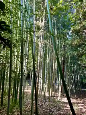 寿福寺(神奈川県)
