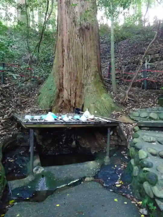 天岩戸神社(宮崎県)