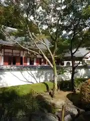 宝徳寺の本殿