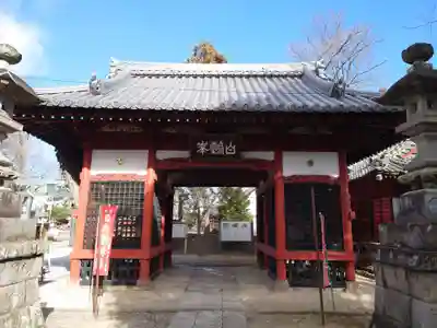 東石清水八幡神社(埼玉県)