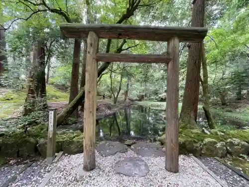 平泉寺白山神社(福井県)