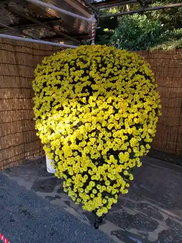 明治神宮の自然